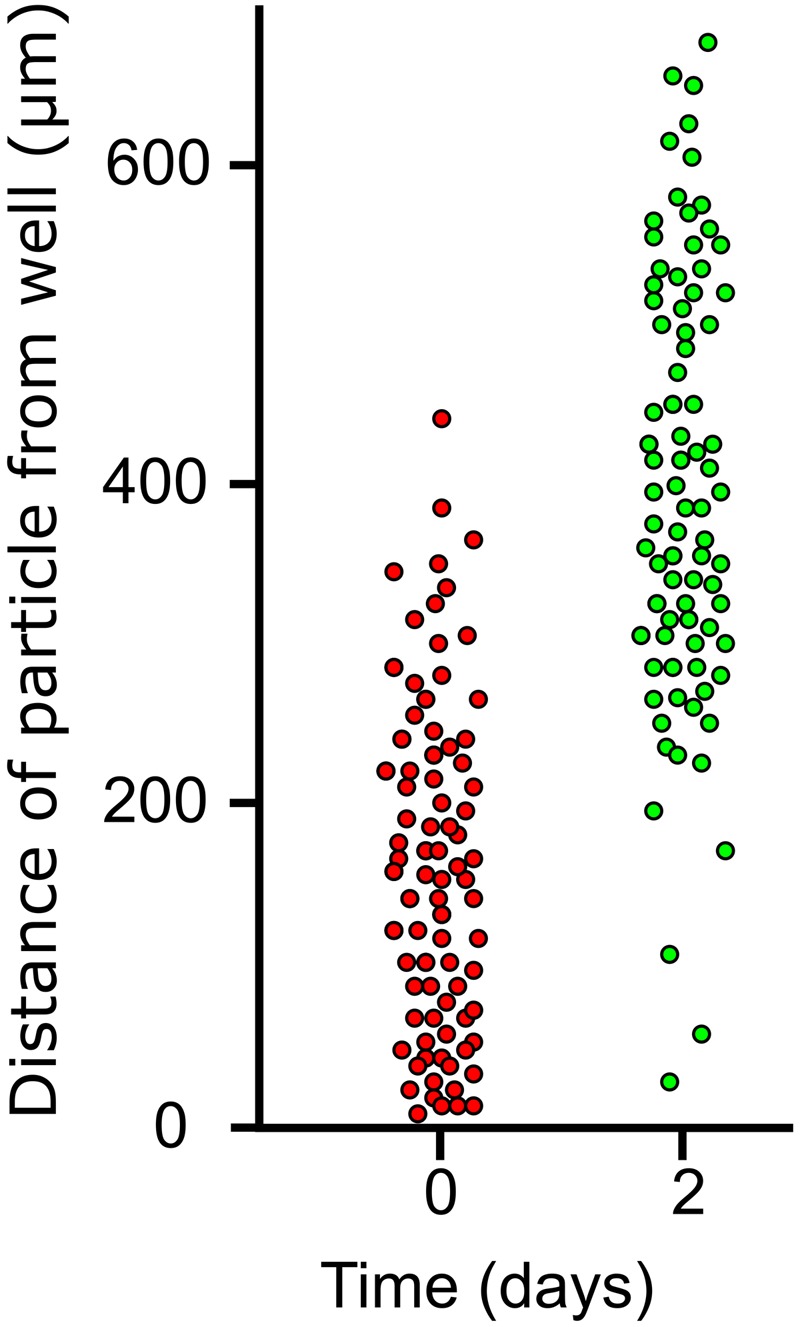 FIGURE 9