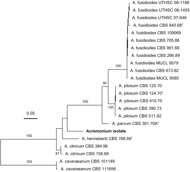 FIGURE 4