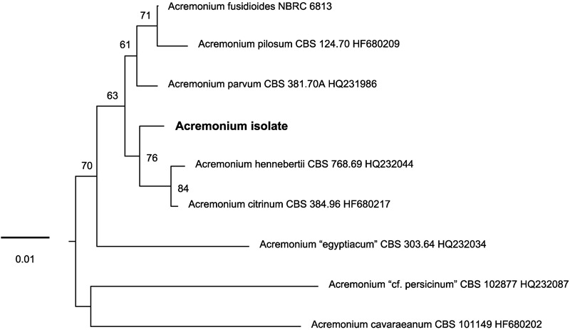 FIGURE 3