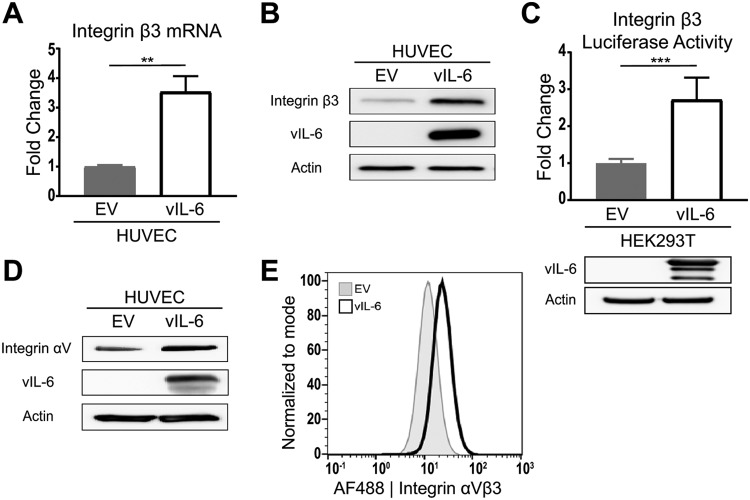 FIG 1