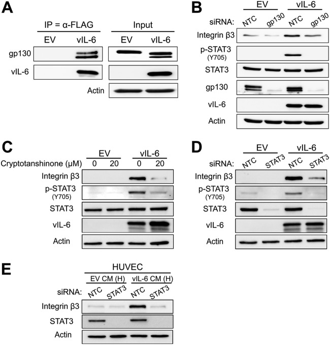 FIG 4