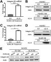 FIG 2