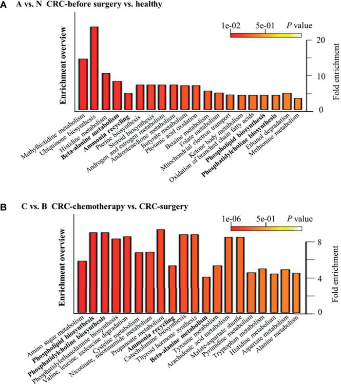 Figure 6