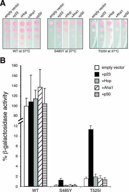 FIG. 7.