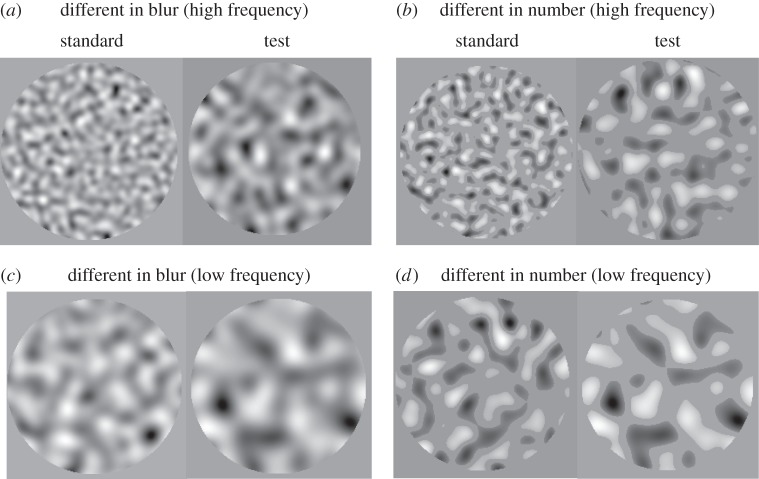 Figure 5.