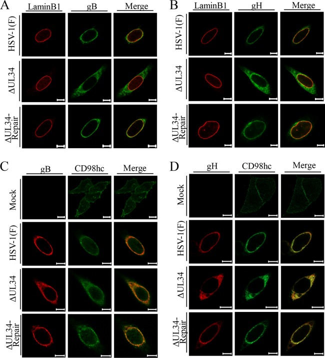 FIG 8