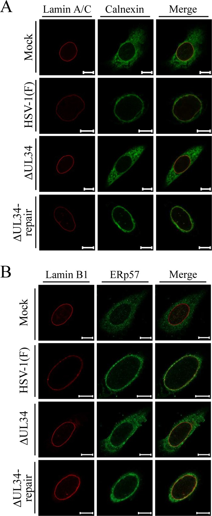 FIG 9