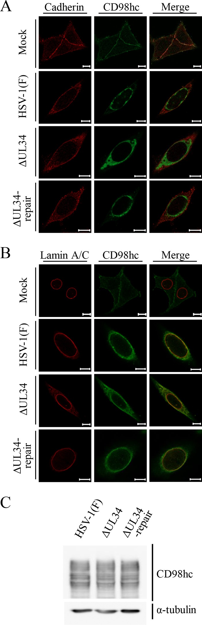 FIG 7