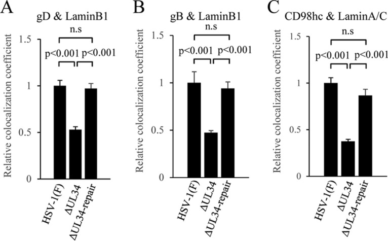 FIG 13