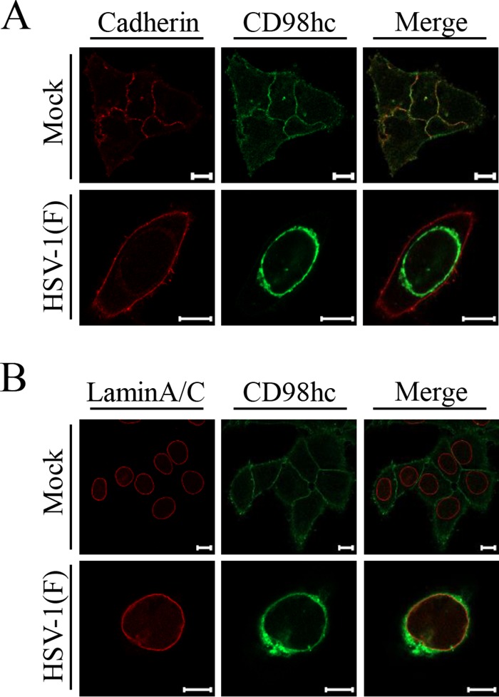 FIG 3