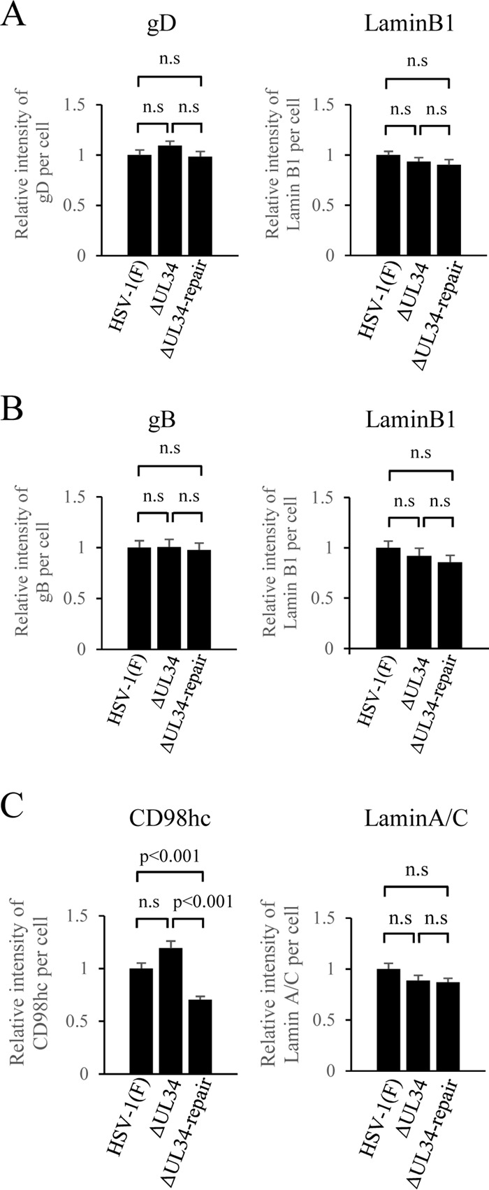 FIG 14