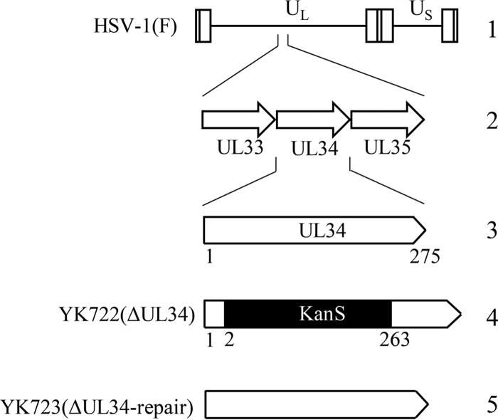 FIG 1