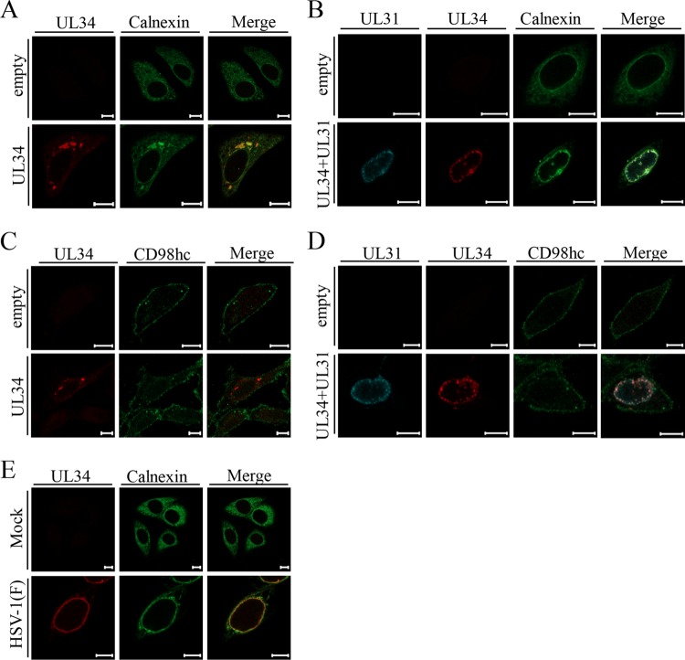 FIG 12