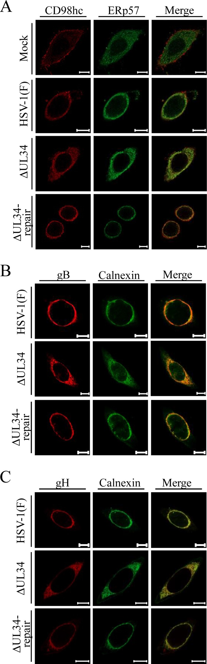 FIG 10