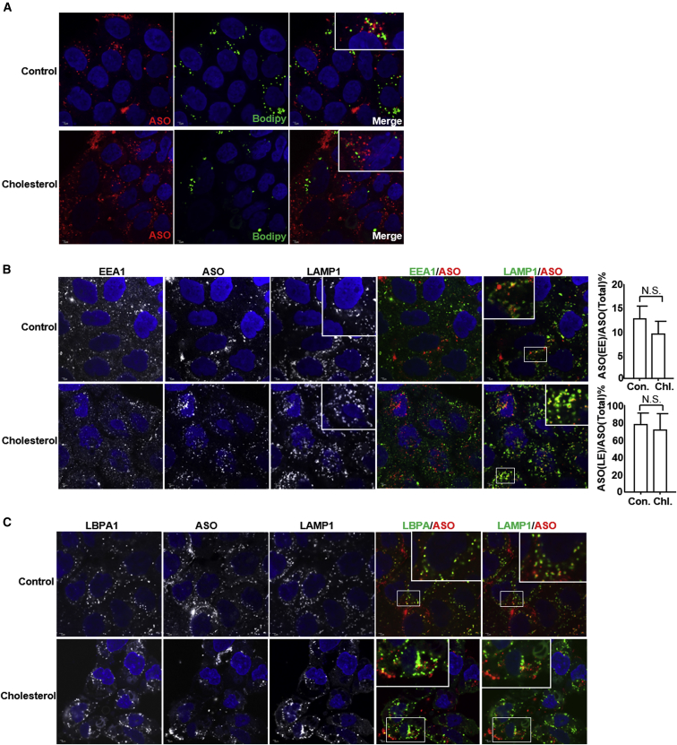 Figure 6