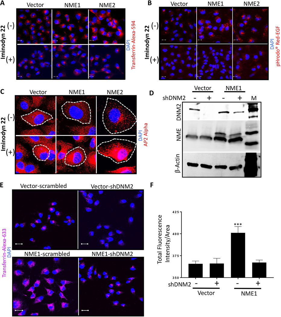 Figure 3: