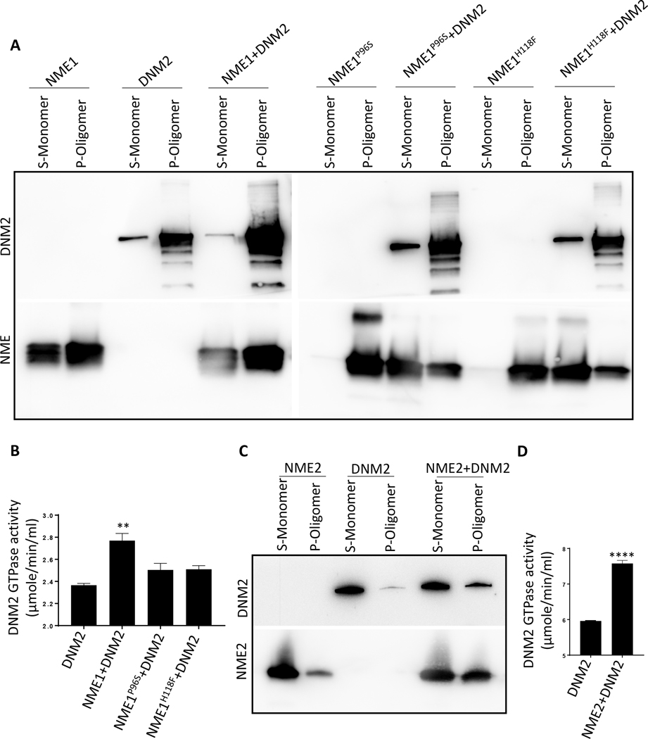 Figure 7: