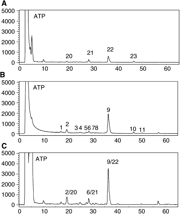 Figure 7