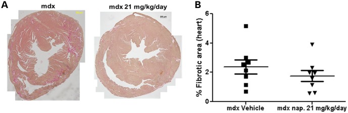 Figure 7.