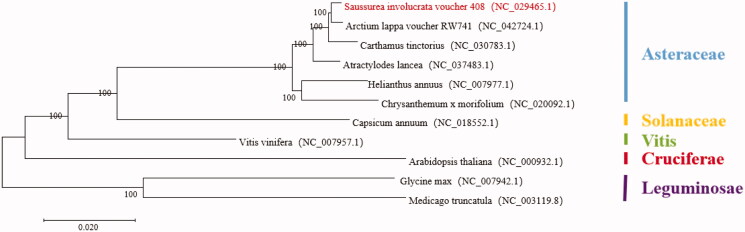 Figure 1.