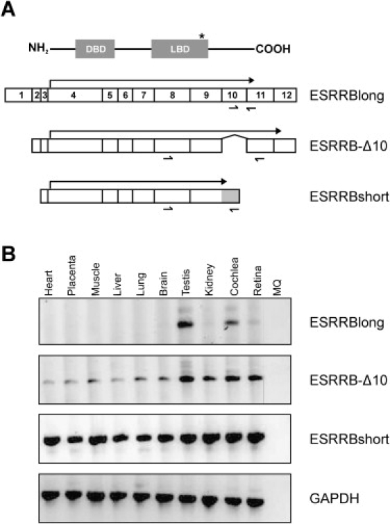 Figure 5