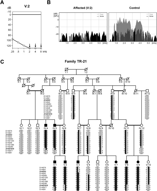 Figure 1