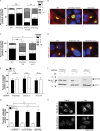 FIG 6