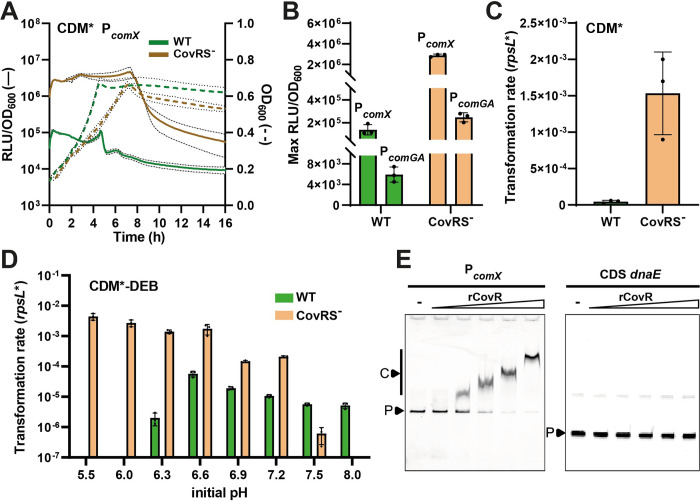 Fig 4