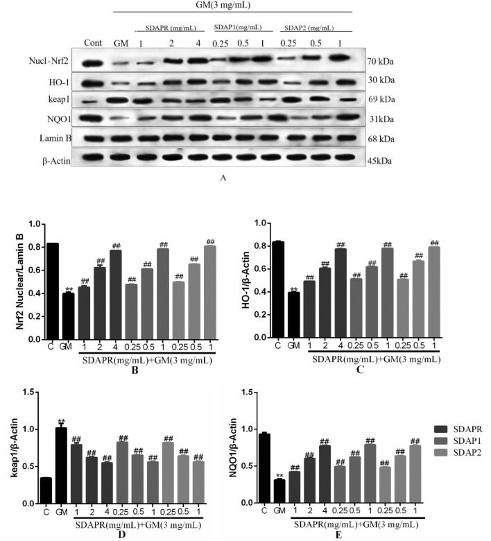 Figure 15