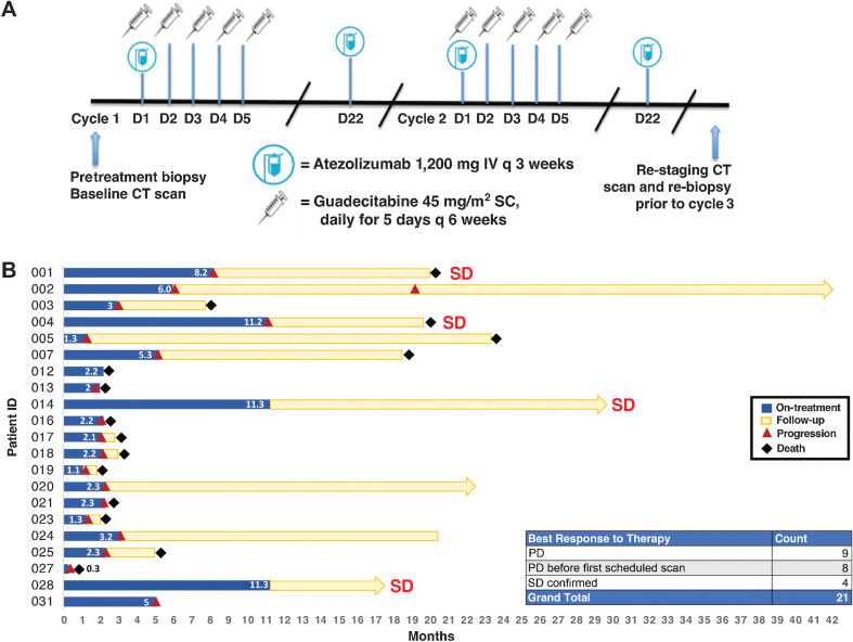 Figure 1. Clinical trial overview and patient survival. A, Schematic describing the guadecitabine and atezolizumab dosing and timing strategy for this clinical trial. Each treatment cycle is 6 weeks. B, Swimmer plot of patients with UC treated with combination therapy in this trial. The length of treatment duration and patient follow-up durations are depicted.