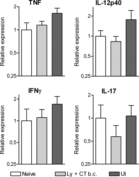 FIG. 4.