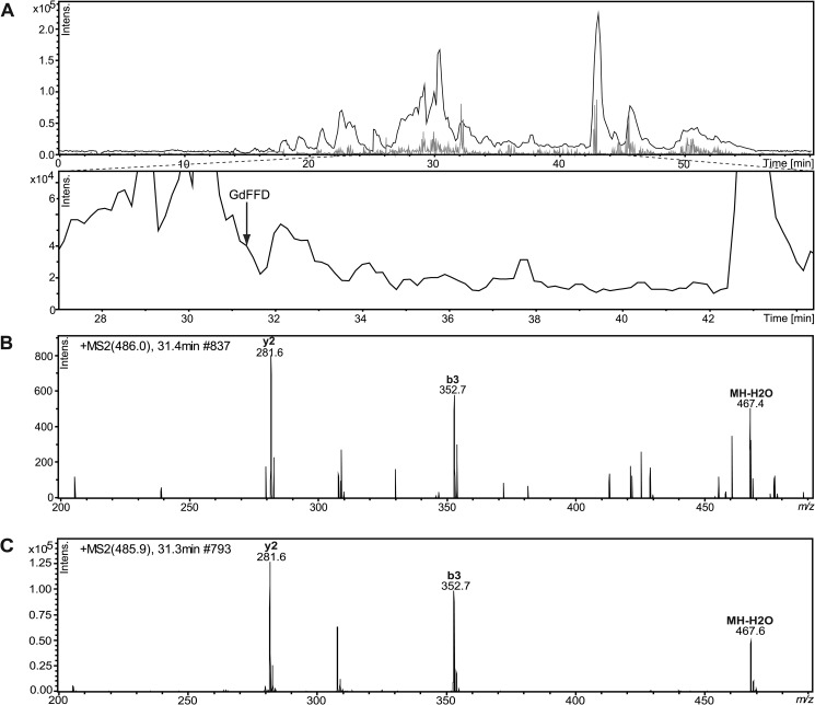 FIGURE 6.