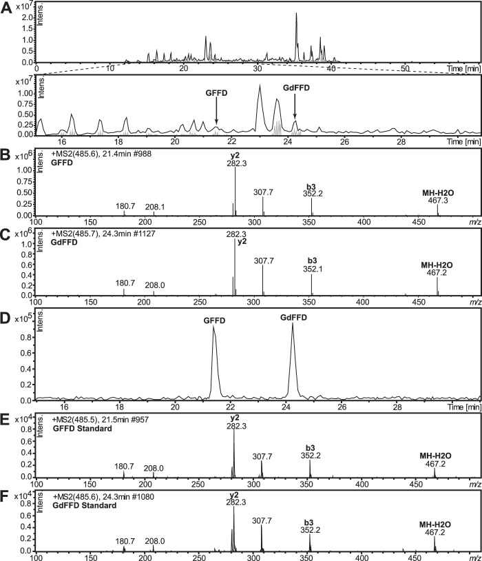 FIGURE 5.