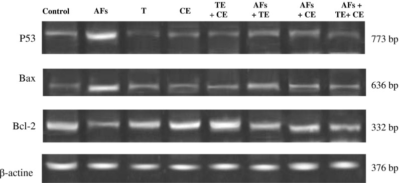 Fig. 5