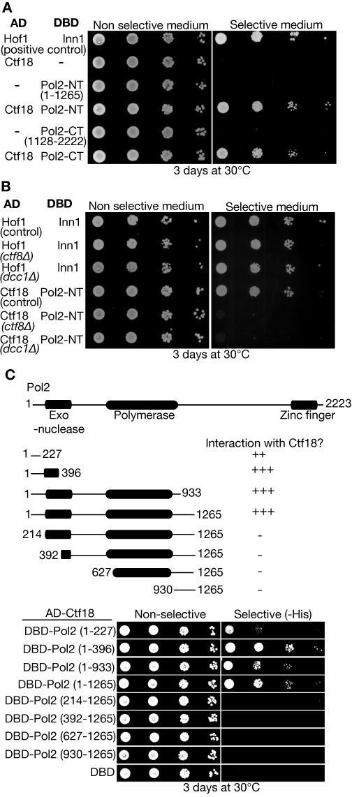 Figure 2.