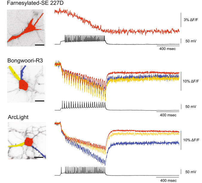 Figure 6