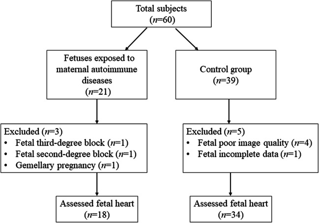 Evaluation of cardiac function and systolic dyssynchrony of fetuses ...