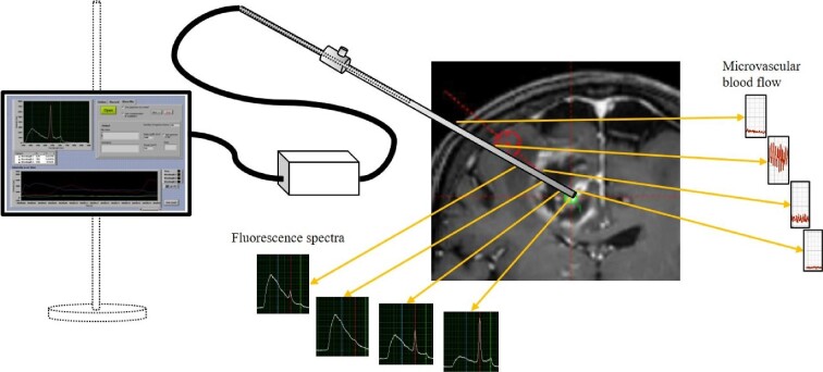 FIGURE 1.