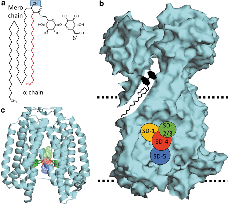 FIG. 2.