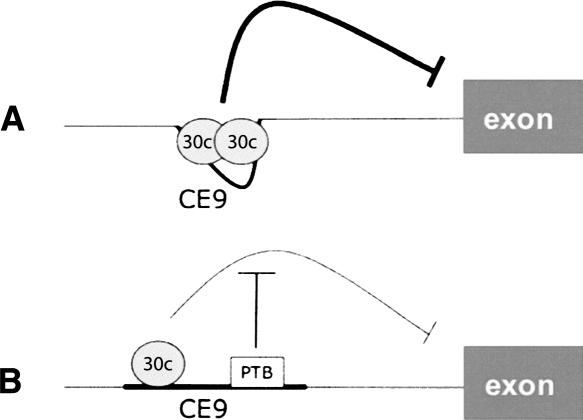 FIGURE 7.