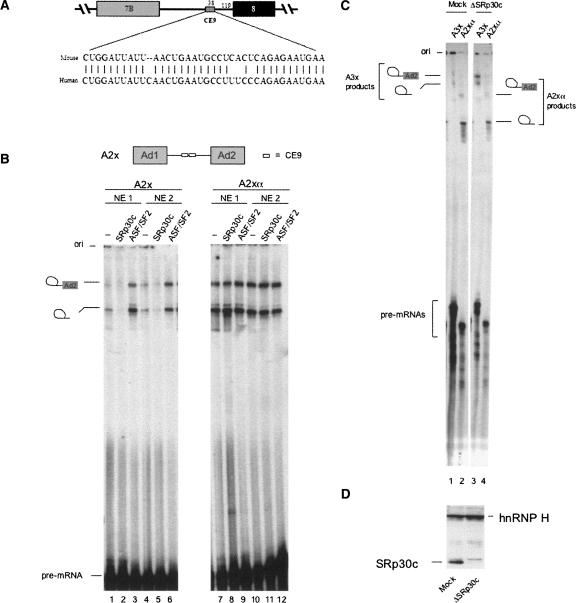 FIGURE 1.