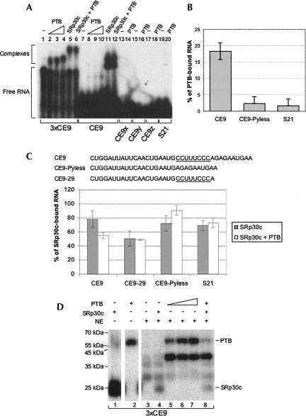 FIGURE 4.