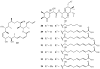 Figure 25