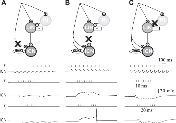 Fig. 8.