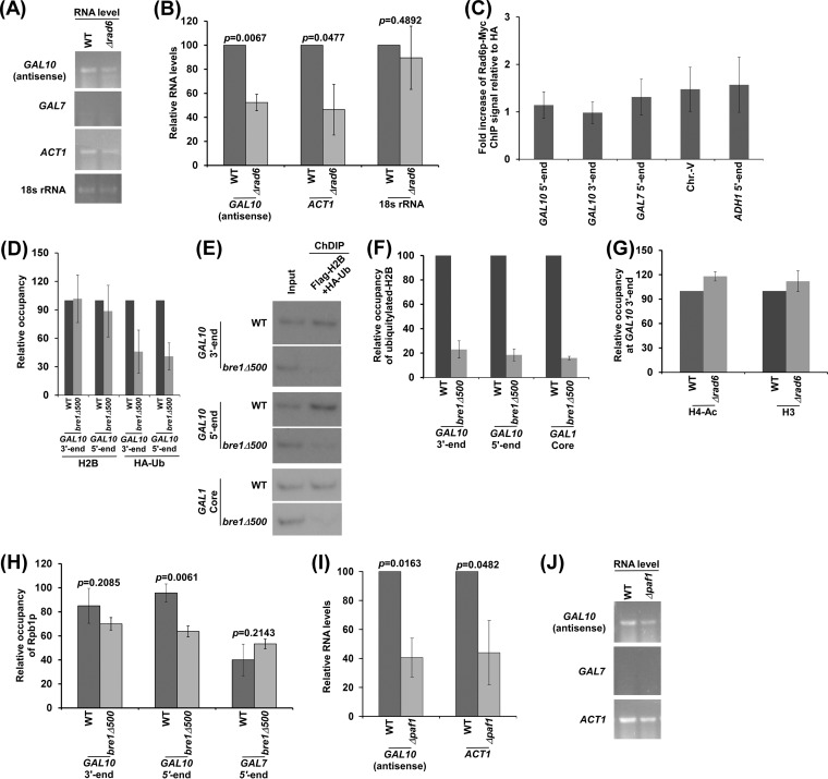 FIG 6