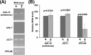 FIG 4