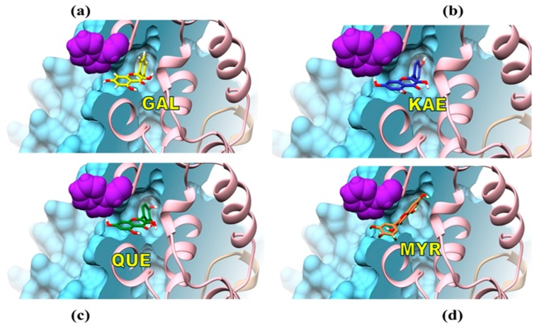 Figure 11