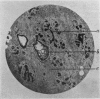 686-1