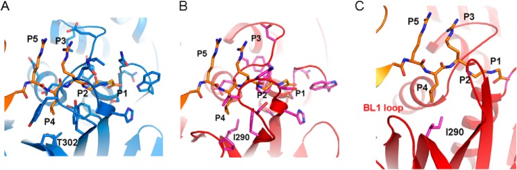 FIGURE 5.