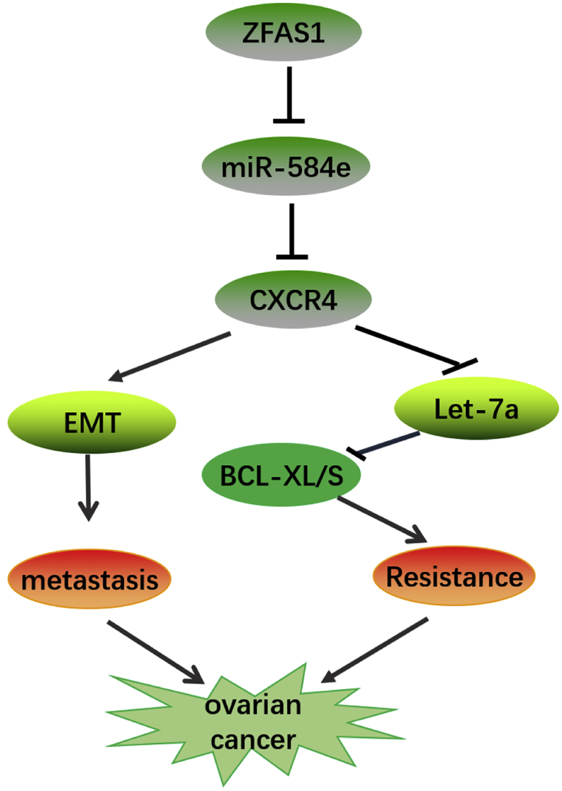 Figure 10